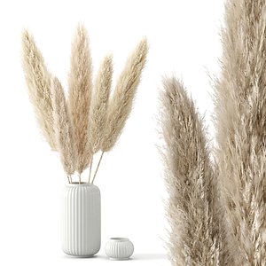 3D Pampas Grass - Cortaderia Selloana set 01