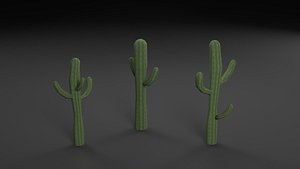 3D Low Poly Cactus Model model