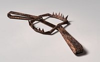 Bear Trap