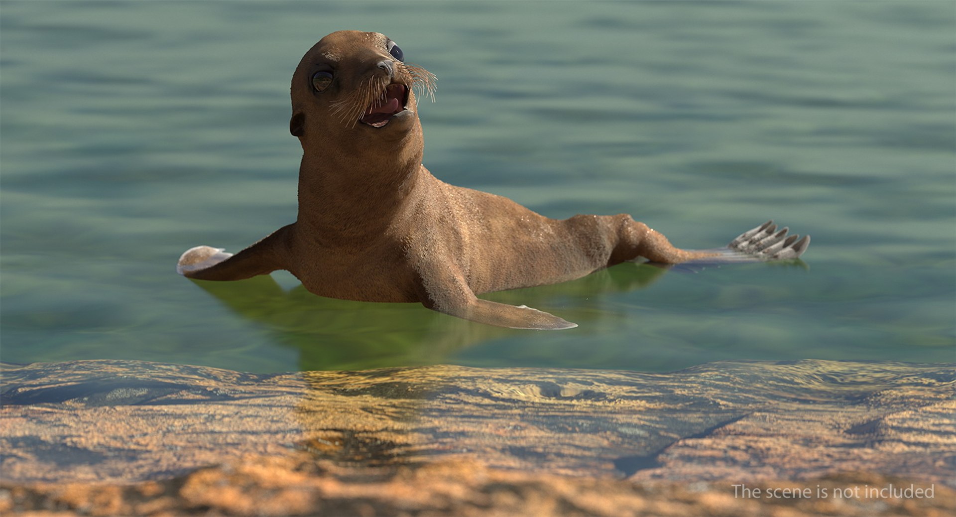 3D model sea lion baby rigged https://p.turbosquid.com/ts-thumb/fd/aQBhr8/AzU2vJcJ/sealionandbabyriggedcollection3dmodel004/jpg/1564604010/1920x1080/fit_q87/75fd6ca3bc385939026e316bdf84e79858428877/sealionandbabyriggedcollection3dmodel004.jpg