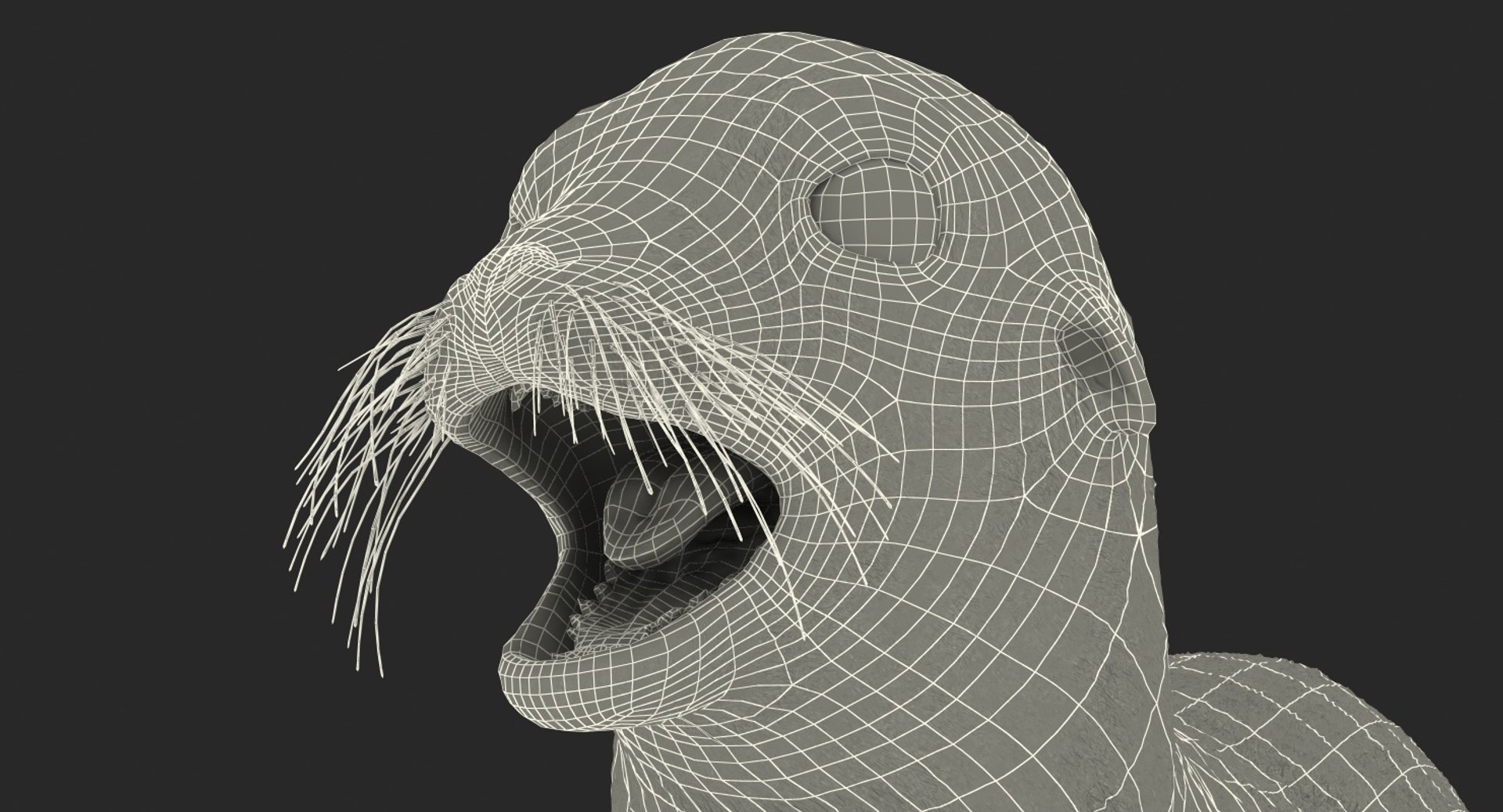 3D model sea lion baby rigged https://p.turbosquid.com/ts-thumb/fd/aQBhr8/JHgkfcjc/sealionandbabyriggedcollection3dmodel017/jpg/1564604054/1920x1080/fit_q87/f65ca70434b44be032fea1d4df2b593ad6195f36/sealionandbabyriggedcollection3dmodel017.jpg