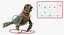 Sea Lion and Baby Rigged Collection
