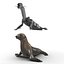 Sea Lion and Baby Rigged Collection