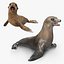 Sea Lion and Baby Rigged Collection