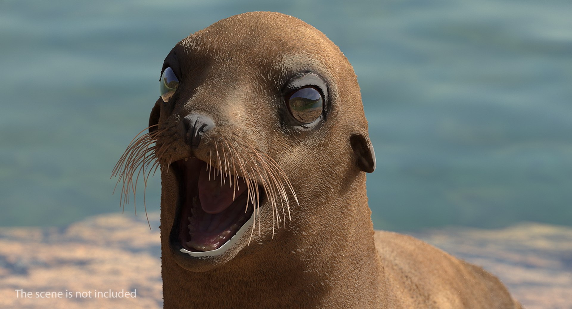 3D model sea lion baby rigged https://p.turbosquid.com/ts-thumb/fd/aQBhr8/e7vx5399/sealionandbabyriggedcollection3dmodel005/jpg/1564604014/1920x1080/fit_q87/8aa8ddb86304d3398e45195272cc003265a3cabf/sealionandbabyriggedcollection3dmodel005.jpg