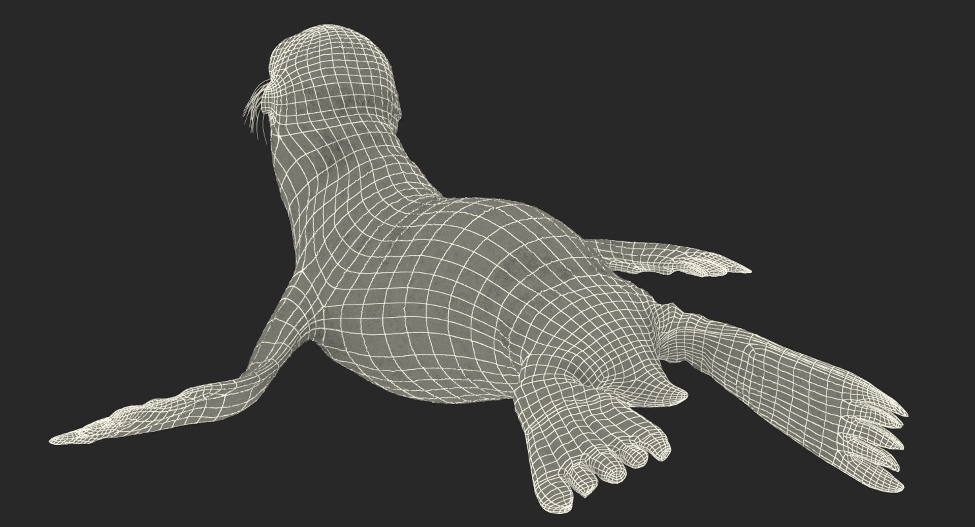 3D model sea lion baby rigged https://p.turbosquid.com/ts-thumb/fd/aQBhr8/k5naWSXC/sealionandbabyriggedcollection3dmodel016/jpg/1564604051/1920x1080/fit_q87/1712af6de7ed004c35389f96f587e04351e2d9e8/sealionandbabyriggedcollection3dmodel016.jpg
