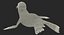 Sea Lion and Baby Rigged Collection