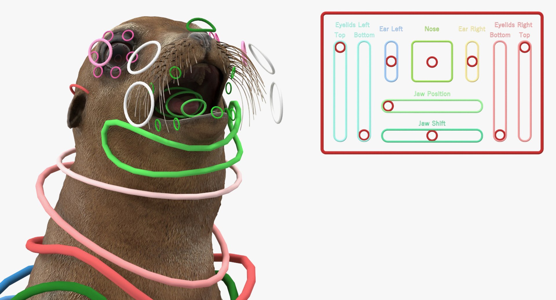 3D model sea lion baby rigged https://p.turbosquid.com/ts-thumb/fd/aQBhr8/v2bHb79s/sealionandbabyriggedcollection3dmodel009/jpg/1564604027/1920x1080/fit_q87/9649c43a351580349e0a8503678ef08918a00c9b/sealionandbabyriggedcollection3dmodel009.jpg