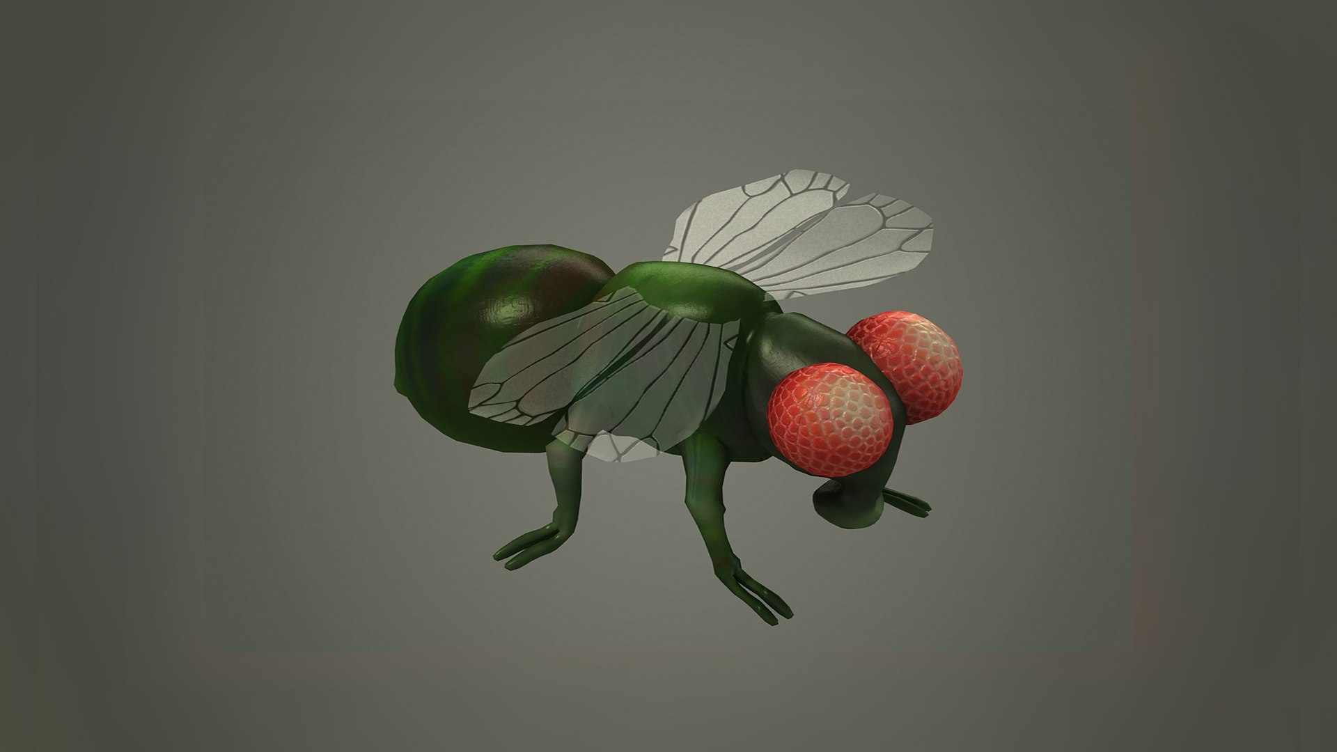 Cartoon Fly Fly Beetle Insect Character 3D - TurboSquid 2159871