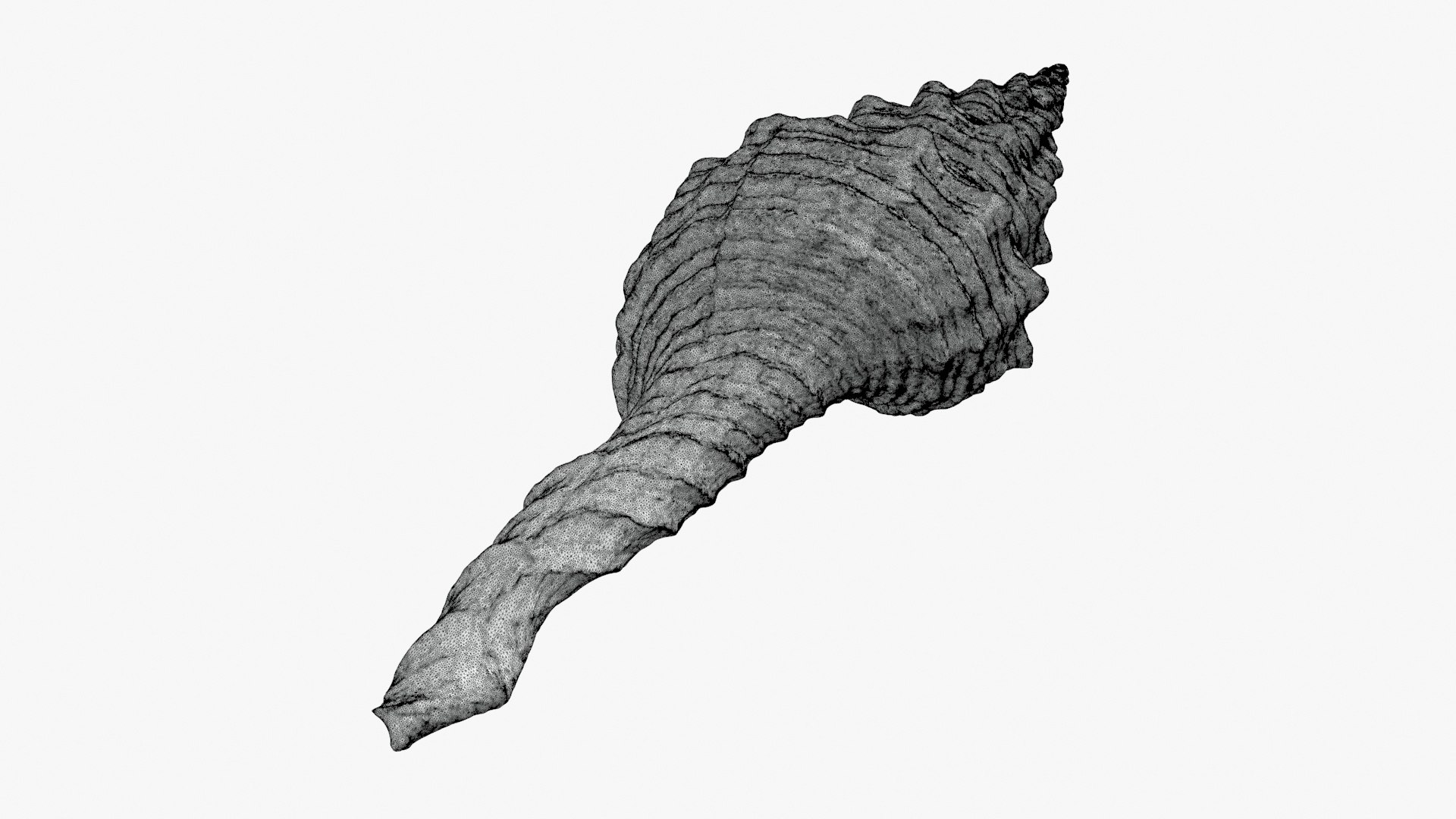 3D Nicobar Spindle 3D Print - TurboSquid 2282409