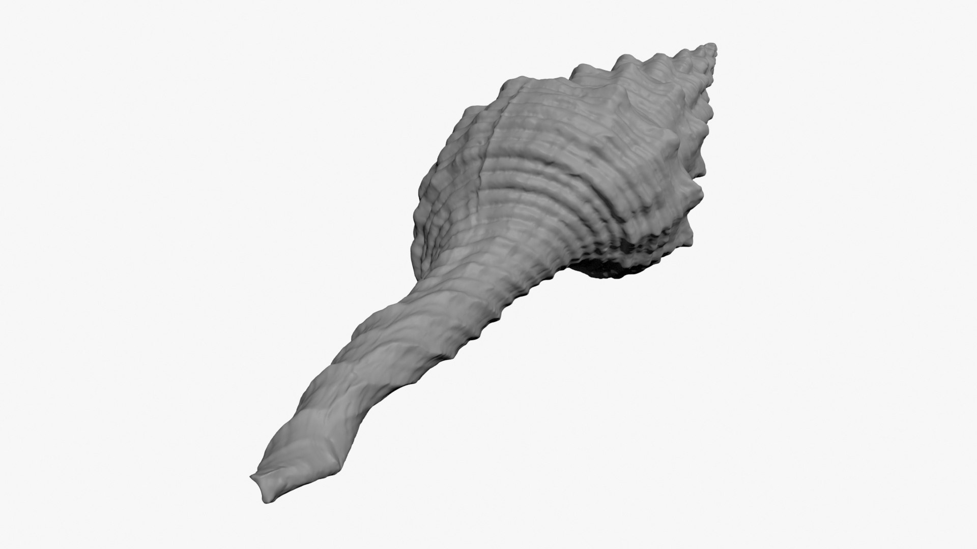 3D Nicobar Spindle 3D Print - TurboSquid 2282409