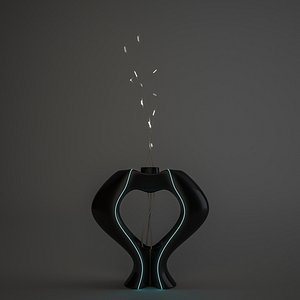 vases vase