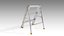 Stepladder