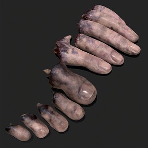 Severed Fingers and Toes