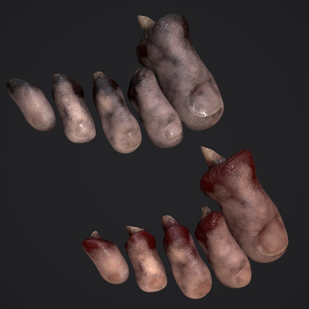 3D Severed Fingers and Toes model https://p.turbosquid.com/ts-thumb/fd/nIXKFY/7T/2textures/png/1635138058/1920x1080/fit_q87/f13174445eead039a1f04db4019d7202a2da926a/2textures.jpg