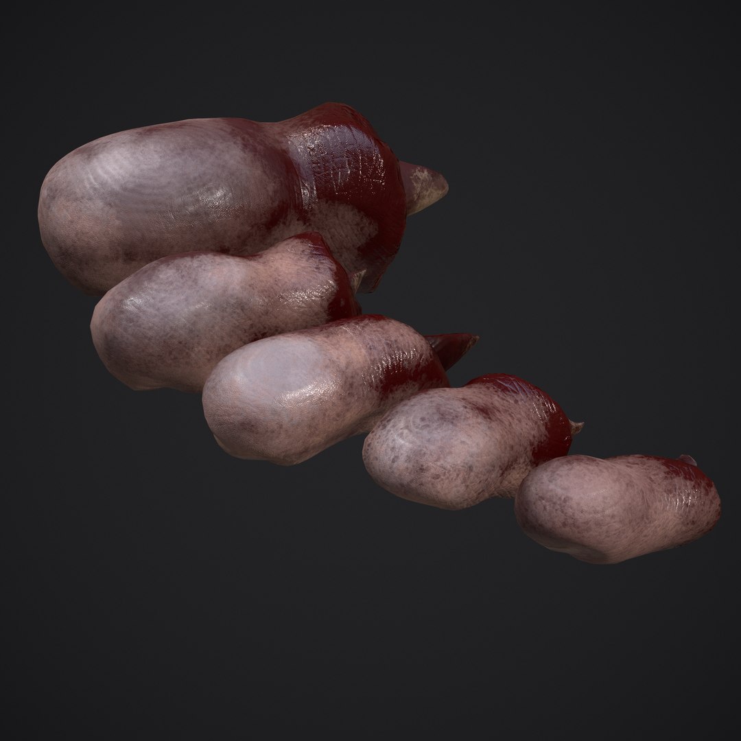 3D Severed Fingers and Toes model https://p.turbosquid.com/ts-thumb/fd/nIXKFY/7Z/m/png/1635138174/1920x1080/fit_q87/c4633bf746b37f9945805e999f529522e55e1e08/m.jpg