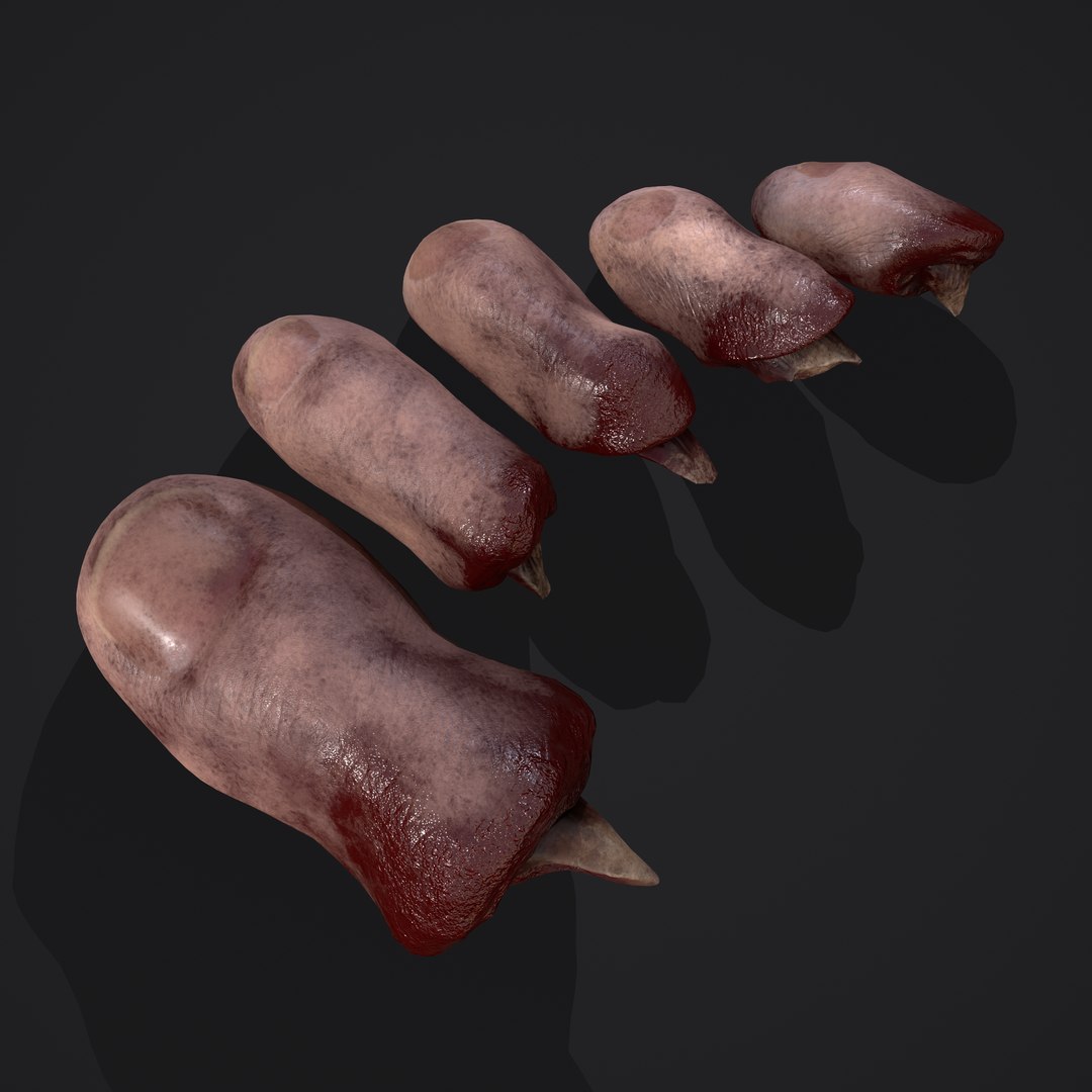 3D Severed Fingers and Toes model https://p.turbosquid.com/ts-thumb/fd/nIXKFY/8T/u/png/1635138154/1920x1080/fit_q87/effaf7fd6f0410c9e10931f7e0ac83934cd9ea42/u.jpg