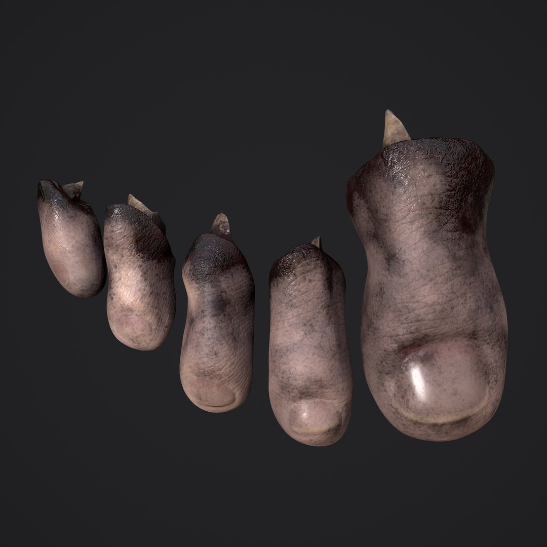 3D Severed Fingers and Toes model https://p.turbosquid.com/ts-thumb/fd/nIXKFY/8r/variationone/png/1635138153/1920x1080/fit_q87/b9eaf2115339dbdb1ed1ec694f91571cadbc8044/variationone.jpg