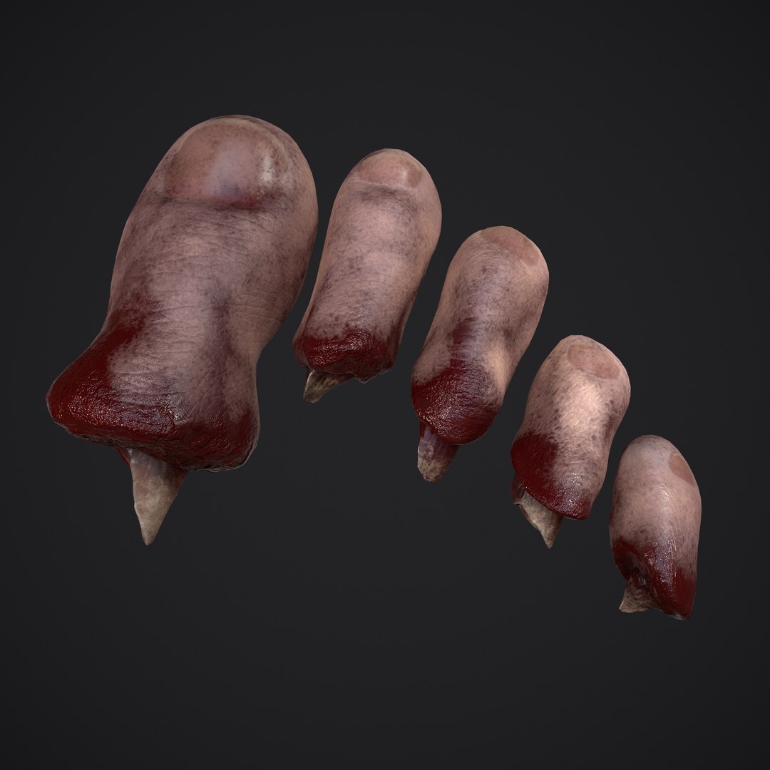 3D Severed Fingers and Toes model https://p.turbosquid.com/ts-thumb/fd/nIXKFY/AR/p/png/1635138175/1920x1080/fit_q87/3bdd0ad45e4cad5b7ce16a75d9bdbed6073f7058/p.jpg