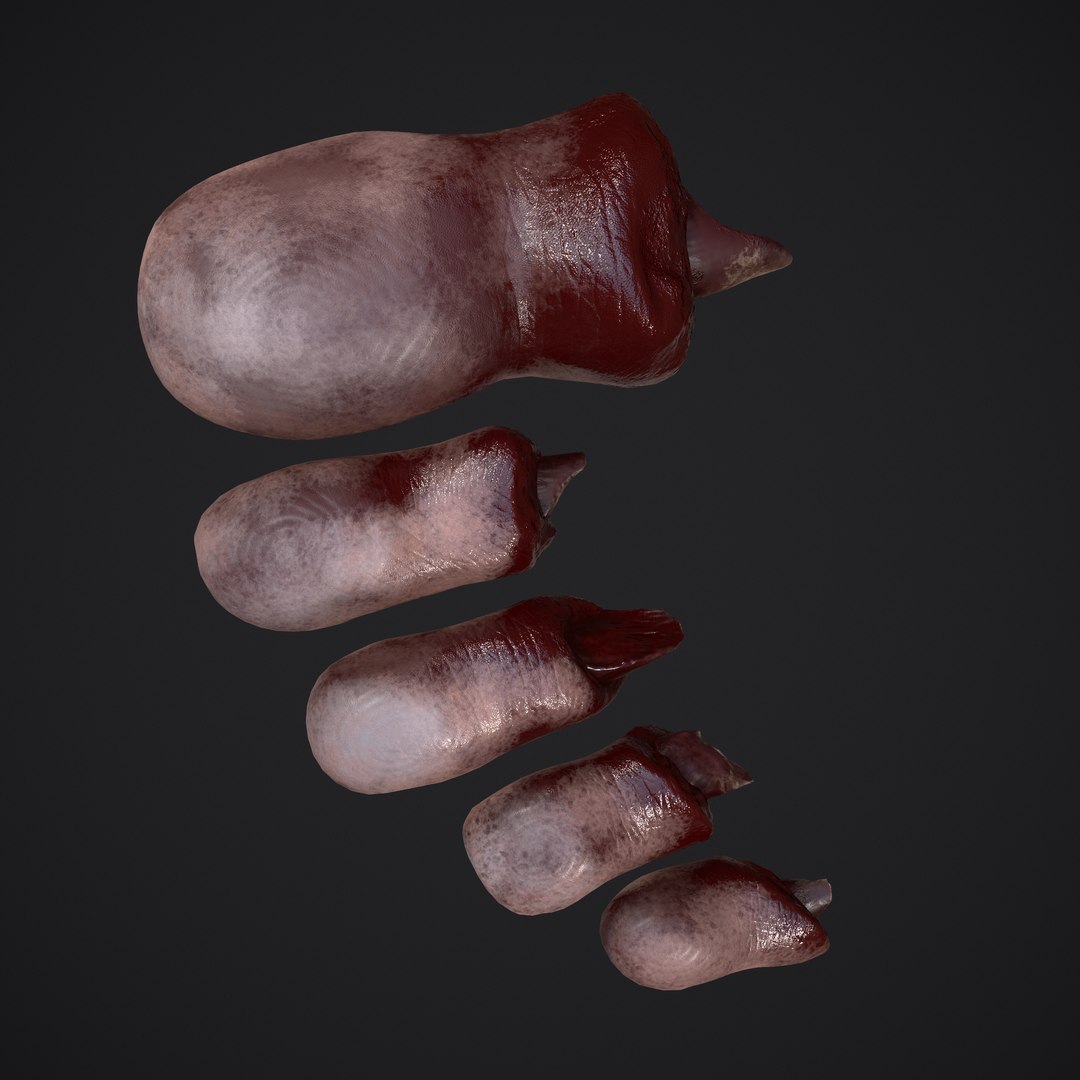 3D Severed Fingers and Toes model https://p.turbosquid.com/ts-thumb/fd/nIXKFY/Ej/n/png/1635138179/1920x1080/fit_q87/0690898496ea255bc2ab25b6c4df9ababb57e219/n.jpg