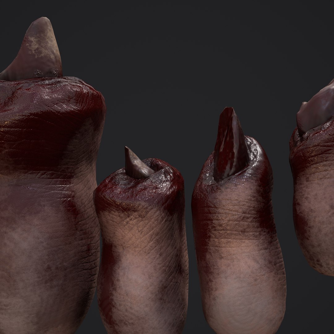 3D Severed Fingers and Toes model https://p.turbosquid.com/ts-thumb/fd/nIXKFY/Fg/a5/png/1635138205/1920x1080/fit_q87/68ddc558c4afd85090ff7502490c6384113ed4c8/a5.jpg