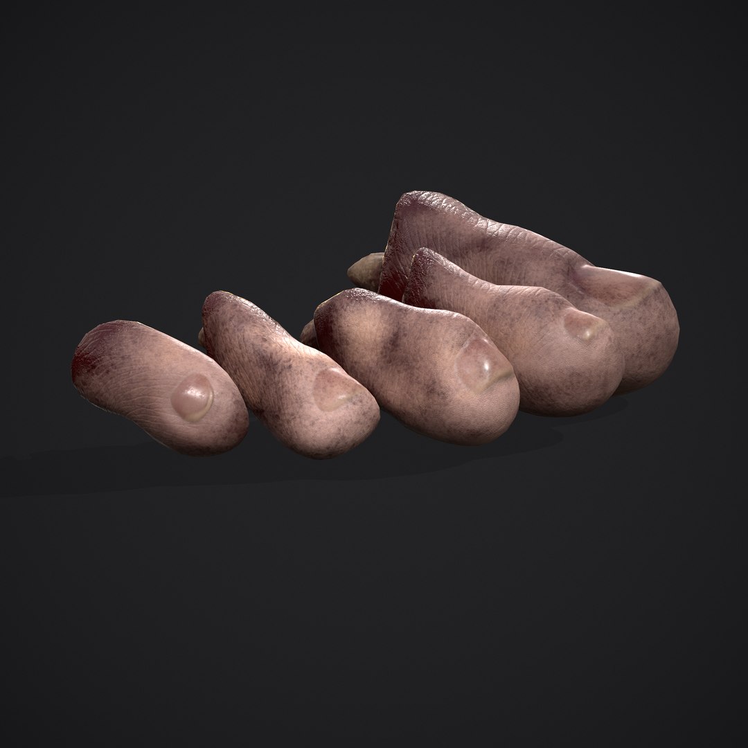 3D Severed Fingers and Toes model https://p.turbosquid.com/ts-thumb/fd/nIXKFY/N1/h/png/1635138157/1920x1080/fit_q87/4f8c34f918ef325d6d614e0a417c92103dc6fc4d/h.jpg