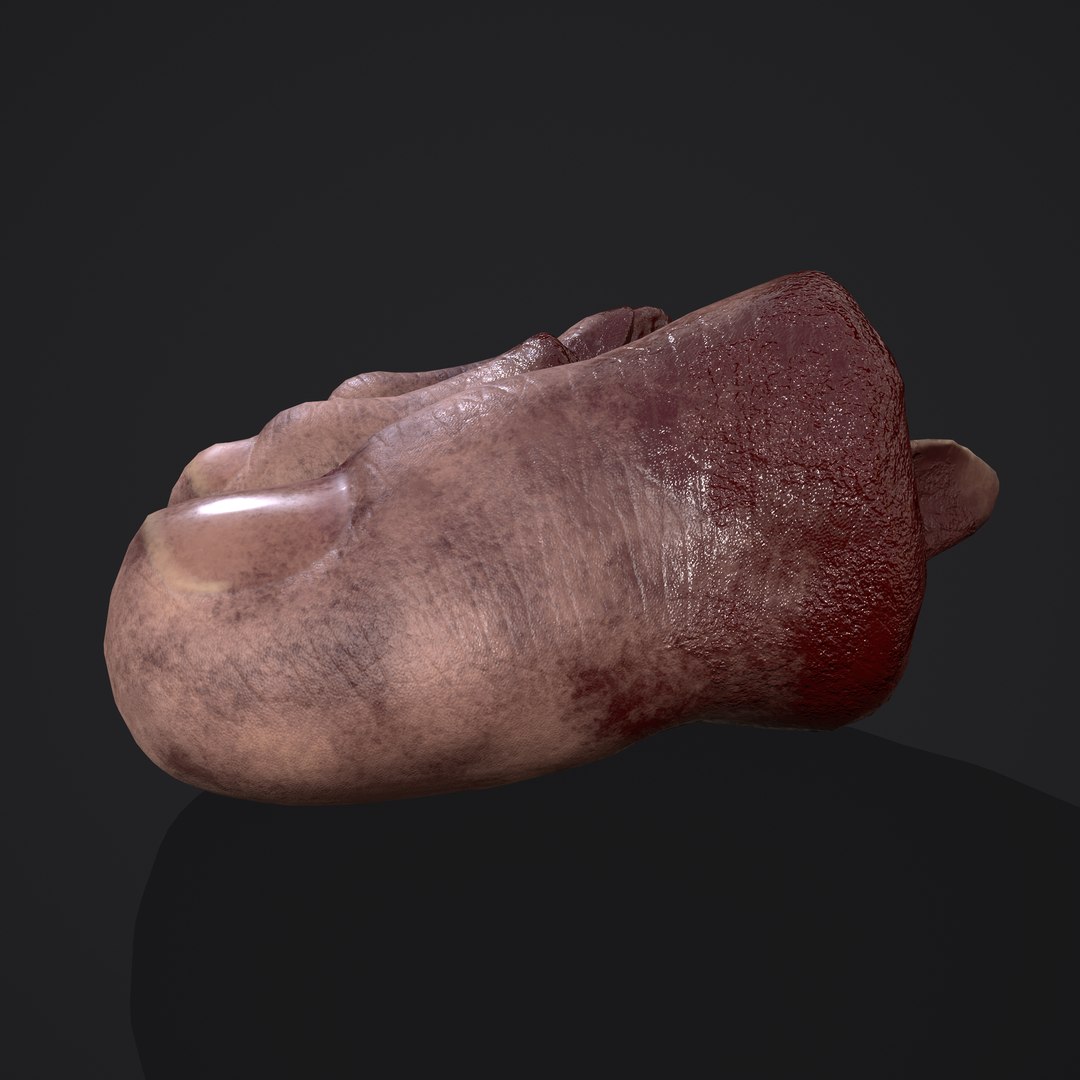 3D Severed Fingers and Toes model https://p.turbosquid.com/ts-thumb/fd/nIXKFY/Nc/v/png/1635138160/1920x1080/fit_q87/66ef0edce606a8fccda55c8740948849c18631bd/v.jpg