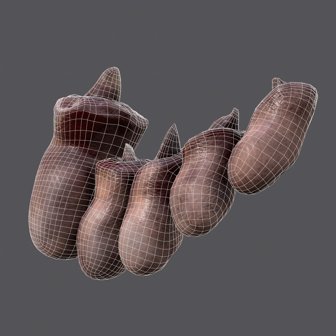 3D Severed Fingers and Toes model https://p.turbosquid.com/ts-thumb/fd/nIXKFY/Nr/wire13/png/1635138277/1920x1080/fit_q87/ac02a9c0351ca4dea0b3486f53e08b0ae6bad4b7/wire13.jpg