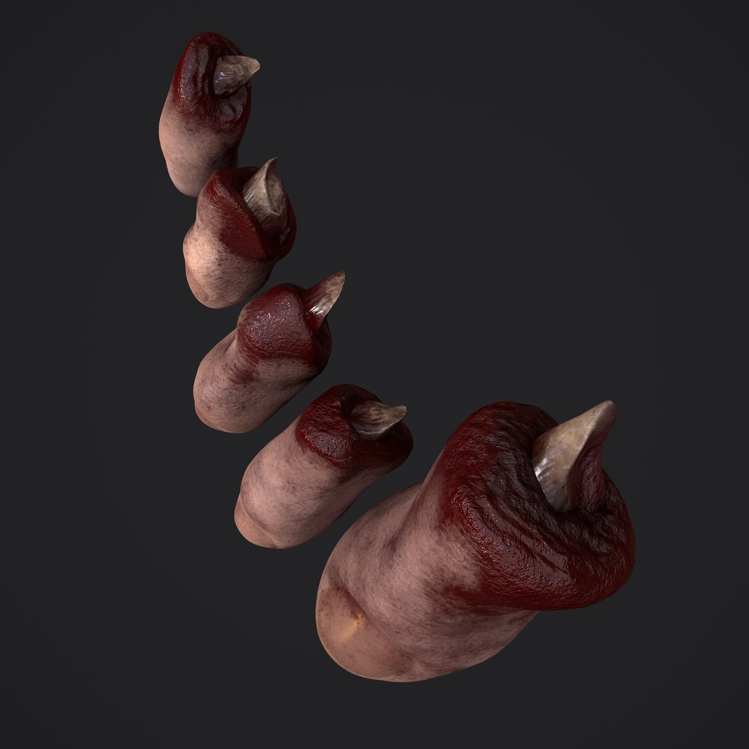 3D Severed Fingers and Toes model https://p.turbosquid.com/ts-thumb/fd/nIXKFY/Q1/a8/png/1635138149/1920x1080/fit_q87/1f688e003bbe3b4a83e1377833f451a5962f0511/a8.jpg