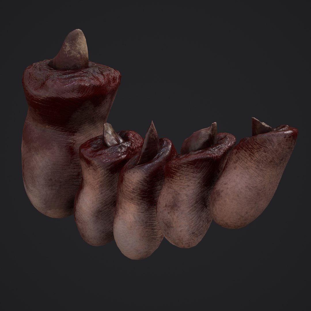 3D Severed Fingers and Toes model https://p.turbosquid.com/ts-thumb/fd/nIXKFY/VO/a3/png/1635138166/1920x1080/fit_q87/d6dd3fd65d78e68839b4c606b8901af9826ac2f4/a3.jpg