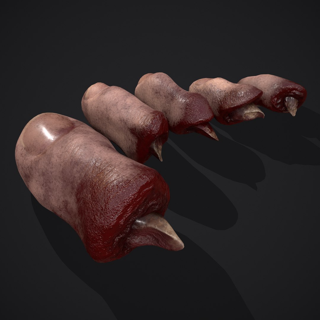 3D Severed Fingers and Toes model https://p.turbosquid.com/ts-thumb/fd/nIXKFY/Xp/a/png/1635138060/1920x1080/fit_q87/f603610ca77426cae9682c423966bbab1e5606e3/a.jpg