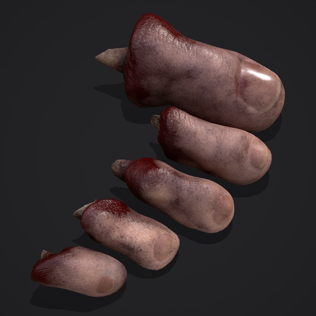3D Severed Fingers and Toes model https://p.turbosquid.com/ts-thumb/fd/nIXKFY/cj/main/png/1635138159/1920x1080/fit_q87/5410ec94774d073c2d438ef2597c34d7e5ba9d91/main.jpg
