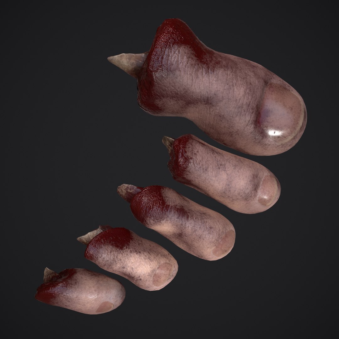 3D Severed Fingers and Toes model https://p.turbosquid.com/ts-thumb/fd/nIXKFY/ds/t/png/1635138197/1920x1080/fit_q87/e1c396ee16e3b621f7f1f33e026104bb02bca7cf/t.jpg