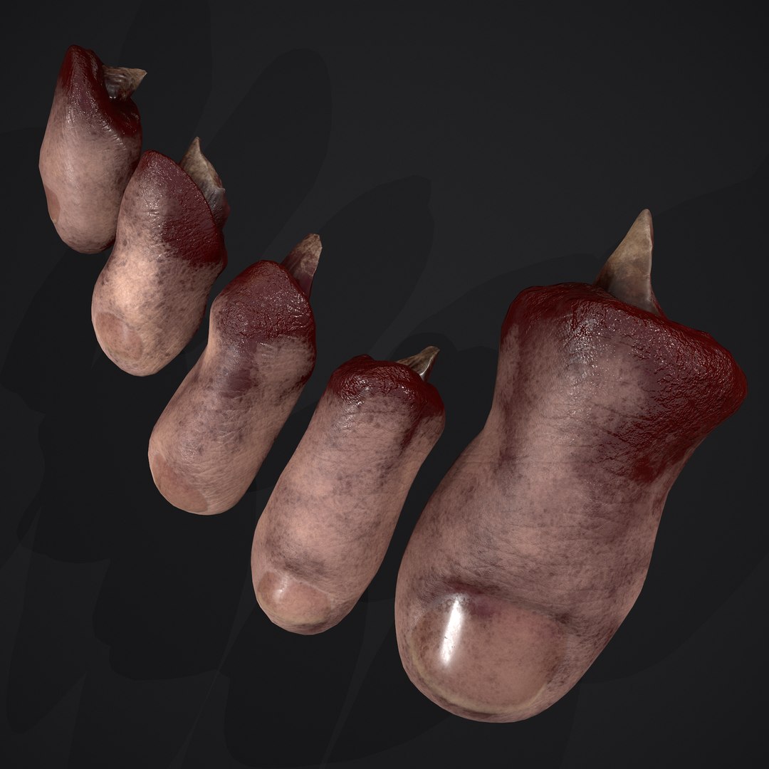 3D Severed Fingers and Toes model https://p.turbosquid.com/ts-thumb/fd/nIXKFY/eV/c/png/1635138209/1920x1080/fit_q87/e5e50f56942f8e260880112de8bff51567aea166/c.jpg