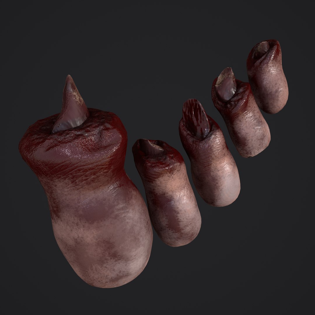 3D Severed Fingers and Toes model https://p.turbosquid.com/ts-thumb/fd/nIXKFY/h8/a1/png/1635138056/1920x1080/fit_q87/2b211d8437d777fbe171cb601f2c2321395cfe95/a1.jpg