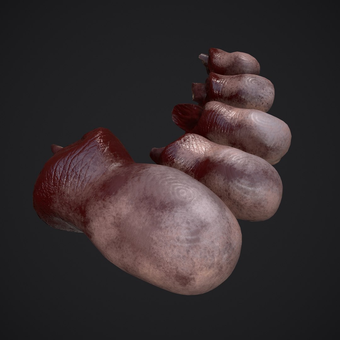 3D Severed Fingers and Toes model https://p.turbosquid.com/ts-thumb/fd/nIXKFY/iu/k/png/1635138194/1920x1080/fit_q87/e6036af290e5a22201248f33d29ae6c1437bfc23/k.jpg