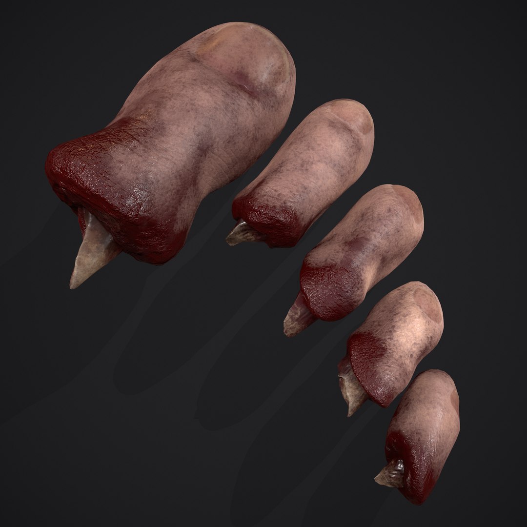 3D Severed Fingers and Toes model https://p.turbosquid.com/ts-thumb/fd/nIXKFY/k6/e/png/1635138185/1920x1080/fit_q87/cff8d17e7450e41731bf52e7caca143447c84824/e.jpg