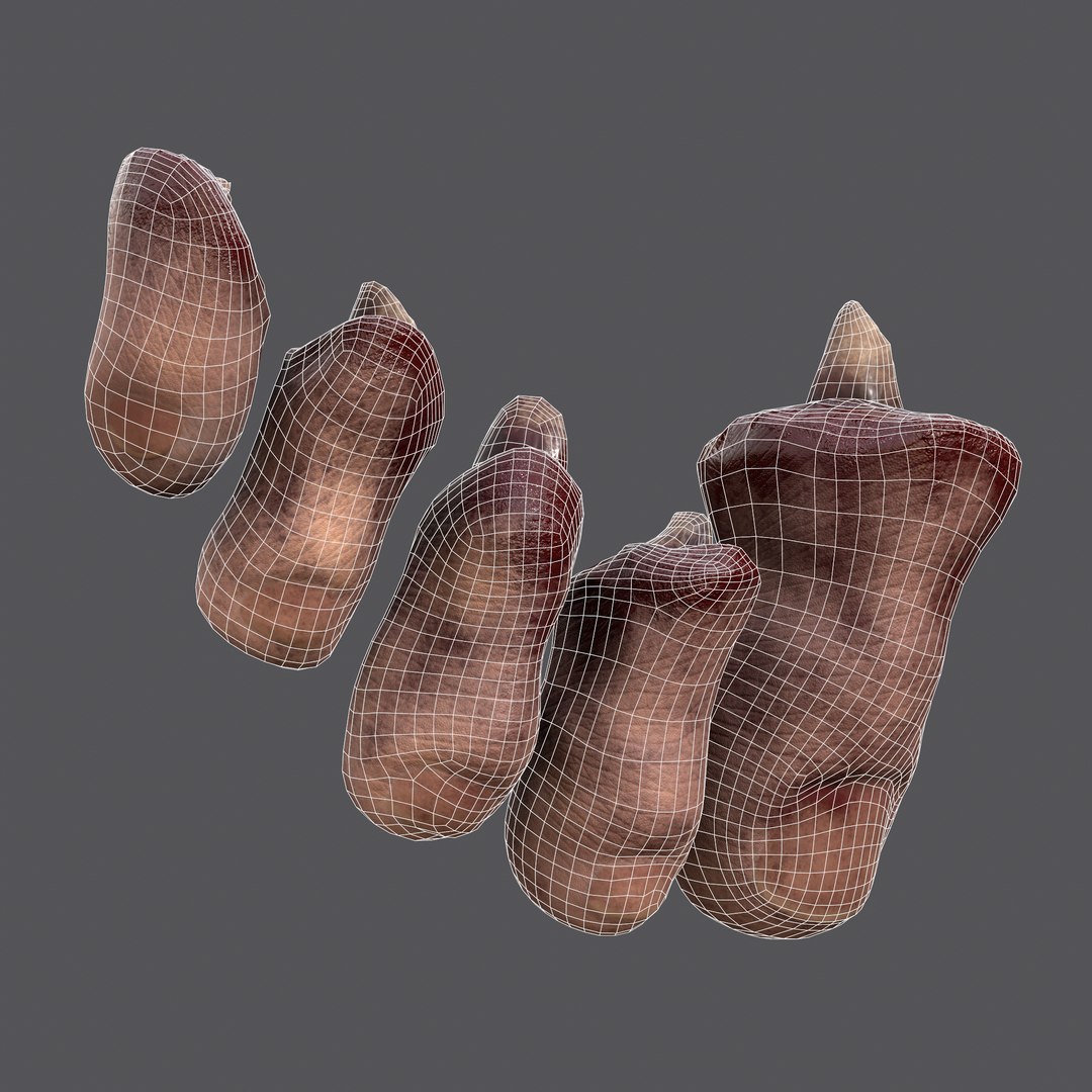 3D Severed Fingers and Toes model https://p.turbosquid.com/ts-thumb/fd/nIXKFY/q2/wire15/png/1635138283/1920x1080/fit_q87/f0d19f60a1df630ac72b9d781a551564b6c4ab0e/wire15.jpg