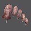 3D Severed Fingers and Toes model