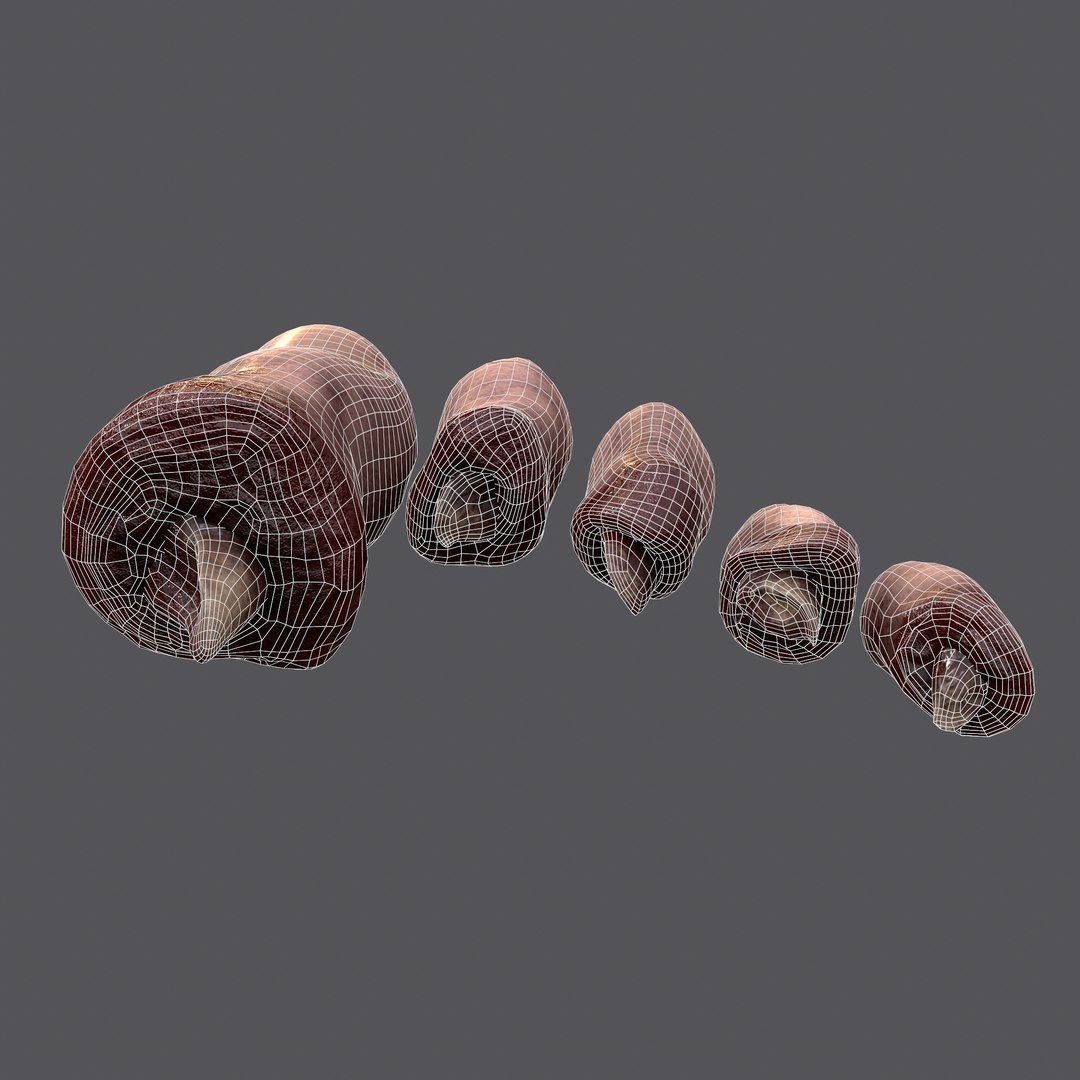 3D Severed Fingers and Toes model https://p.turbosquid.com/ts-thumb/fd/nIXKFY/wm/wire7/png/1635138254/1920x1080/fit_q87/bb4b4d480402aa7bcfd6929f178982d7b269c4cc/wire7.jpg