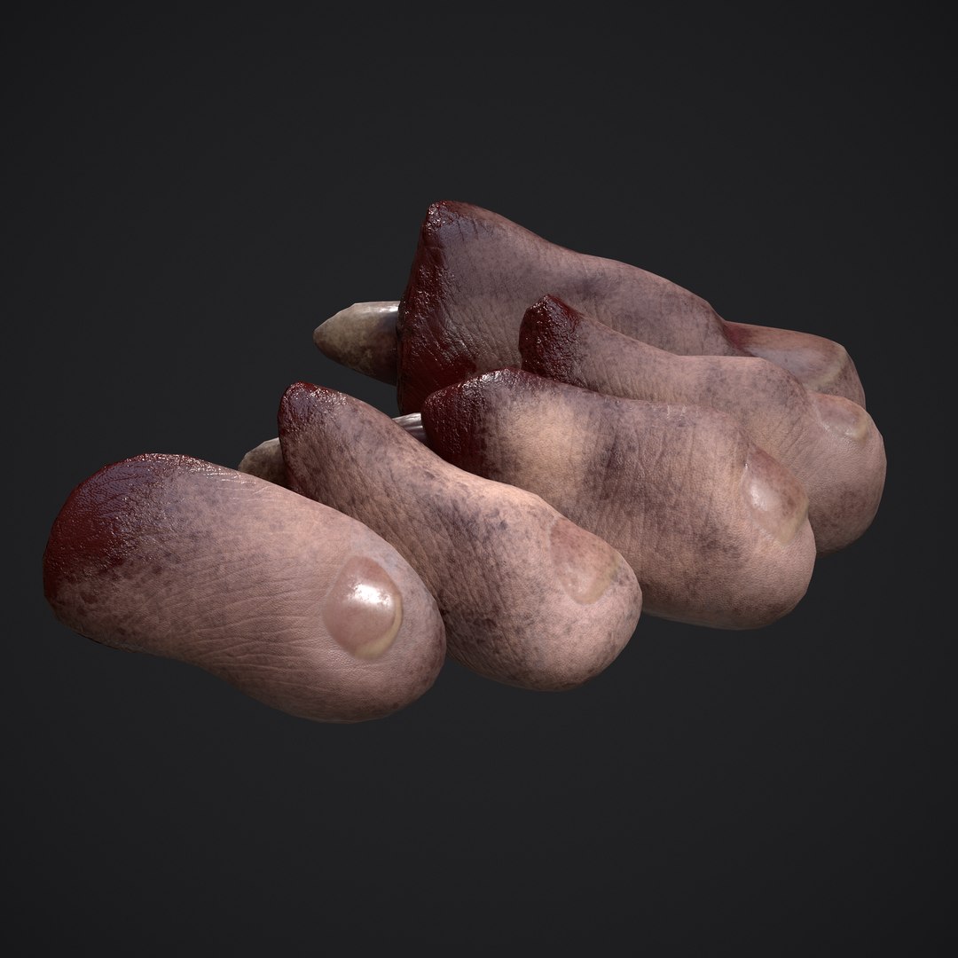 3D Severed Fingers and Toes model https://p.turbosquid.com/ts-thumb/fd/nIXKFY/xg/s/png/1635138186/1920x1080/fit_q87/784c824fb41af0e428fb9845b5296cb4a22e07e5/s.jpg