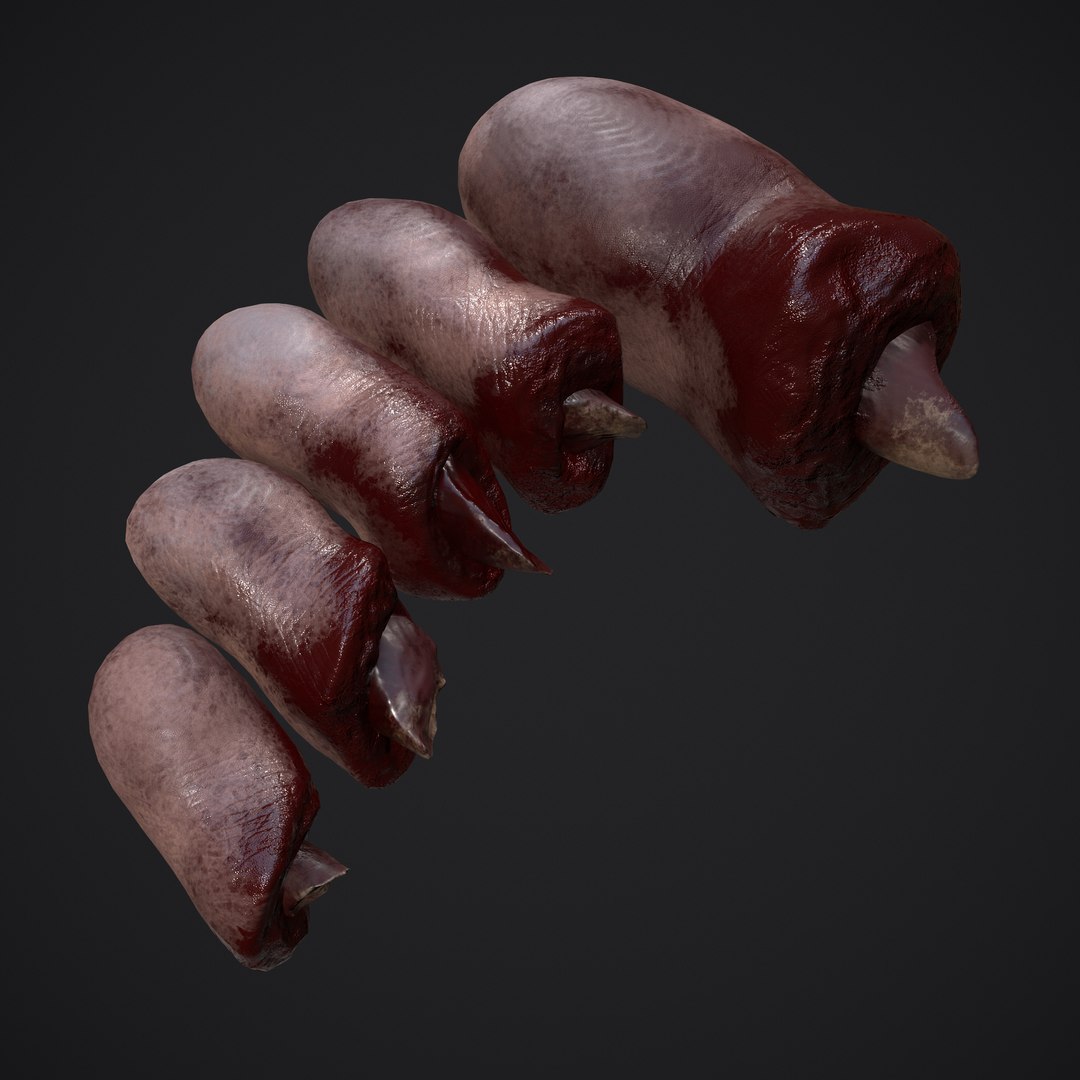 3D Severed Fingers and Toes model https://p.turbosquid.com/ts-thumb/fd/nIXKFY/yO/o/png/1635138198/1920x1080/fit_q87/3272ada8eb6b91490e08b82613f1c833a2de0164/o.jpg