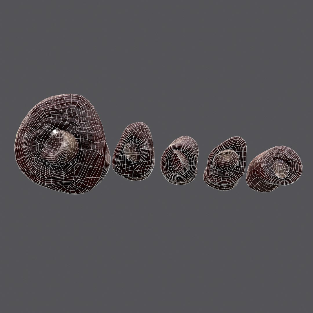 3D Severed Fingers and Toes model https://p.turbosquid.com/ts-thumb/fd/nIXKFY/zw/wire8/png/1635138253/1920x1080/fit_q87/d6b6c739cae75d2e6fc2bb5dcff6d1ee623477c6/wire8.jpg