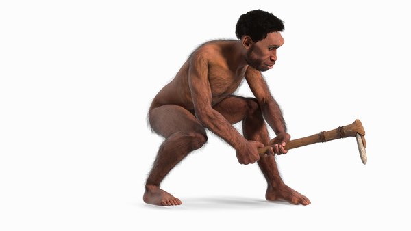 Homo Erectus Upright Man