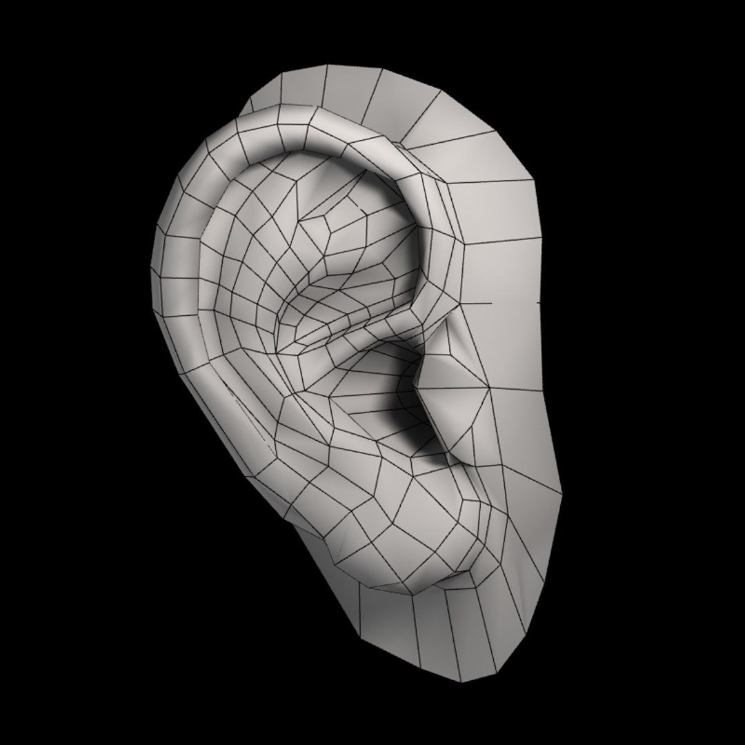 max human ear https://p.turbosquid.com/ts-thumb/fd/y79AxN/C7hkRha0/2/jpg/1360679777/1920x1080/fit_q87/69cb1ff9c3b28cbe92f1d669ce646a56955eeb94/2.jpg