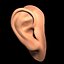 oreja