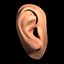 oreja