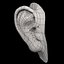 oreja