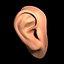 oreja