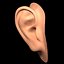 oreja